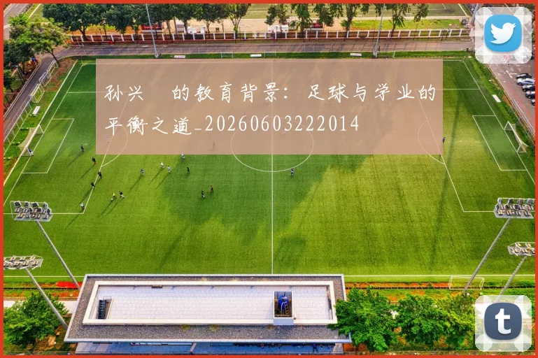 孙兴慜的教育背景：足球与学业的平衡之道_20260603222014